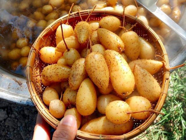 Loại củ bé tí trở thành đặc sản, người giàu có mua cả chục cân về thưởng thức, giá 45.000/kg