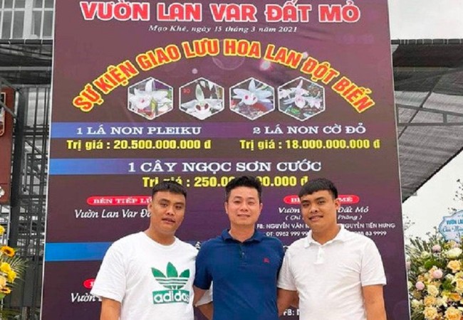 Cặp song sinh Giang, Thanh (hai bên áo trắng) tại buổi giao dịch lan đột biến hàng trăm tỷ đồng