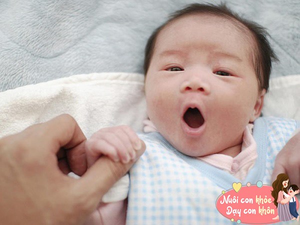 Nghiên cứu chứng minh, trẻ được trò chuyện với cha mẹ thường xuyên sẽ thông minh hơn.