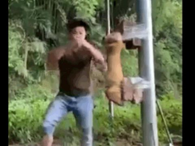 Clip Eva - Biểu diễn đá gãy chân bò, võ sĩ Trung Quốc nhận cái kết bẽ mặt