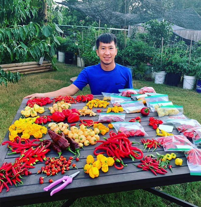 Chàng trai Việt sở hữu khu vườn 300m2 trên đất Mỹ, trồng 2000 loại ớt khác nhau - 1