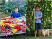 Nhà đẹp - Chàng trai Việt sở hữu khu vườn 300m2 trên đất Mỹ, trồng 2000 loại ớt khác nhau