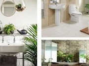 Nhà đẹp - Những loại cây nên đặt trong phòng tắm để "tiền vào như nước"