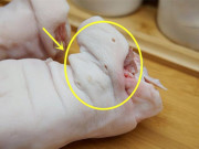Bếp Eva - Mua móng giò, thấy 7 lỗ này biết ngay đâu là móng trước, đâu là sau để tránh bị lừa