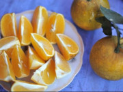 Sức khỏe - Ai cũng ăn cam mùa này nhưng ít biết hết tác dụng của cam và tác hại cần lưu ý
