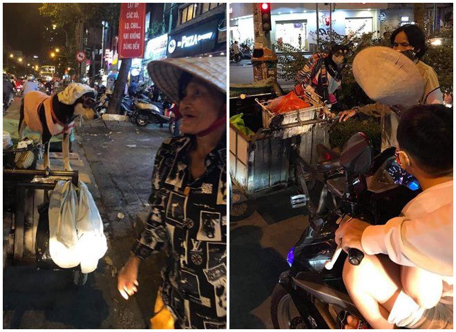 Những chú chó theo chủ mưu sinh ở Sài Gòn: Được mua quần áo đẹp, nằm ngủ như công chúa - 5