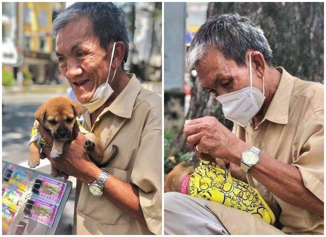 Những chú chó theo chủ mưu sinh ở Sài Gòn: Được mua quần áo đẹp, nằm ngủ như công chúa - 3