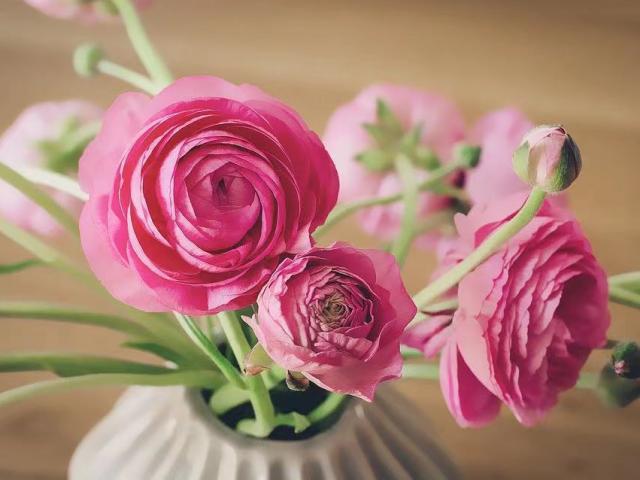 3 kiểu bạn càng kết thân được nhiều gia đình càng thịnh vượng, sự nghiệp càng tấn tới