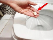 Nhà đẹp - Trước khi đi ngủ cho một tép tỏi vào bồn cầu, sáng ra bạn sẽ vỡ oà ngạc nhiên