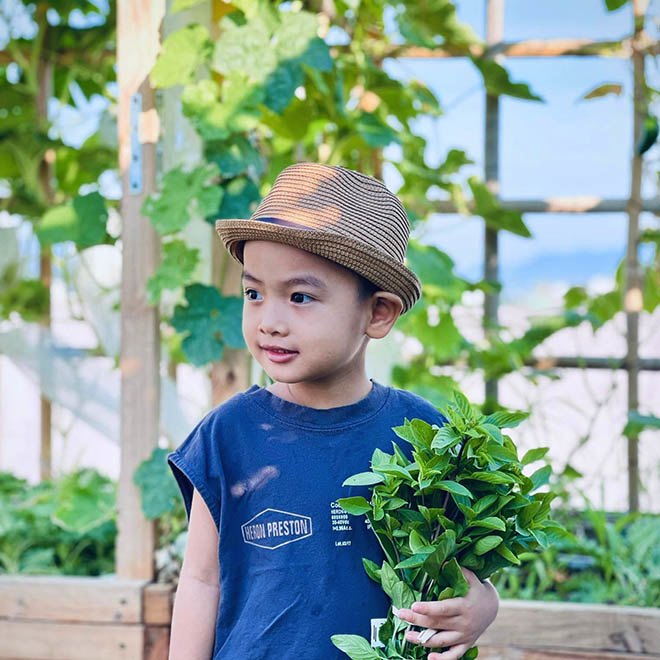 Nghỉ dịch, mẹ đảm Đà Nẵng làm vườn rau xanh trên mái tuyệt đẹp, cả nhà ăn mãi không hết - 16