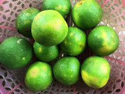 Xem ăn chơi - Loại quả ở quê rẻ như cho, lên thành phố được bán với giá 120.000/kg còn không có để mua