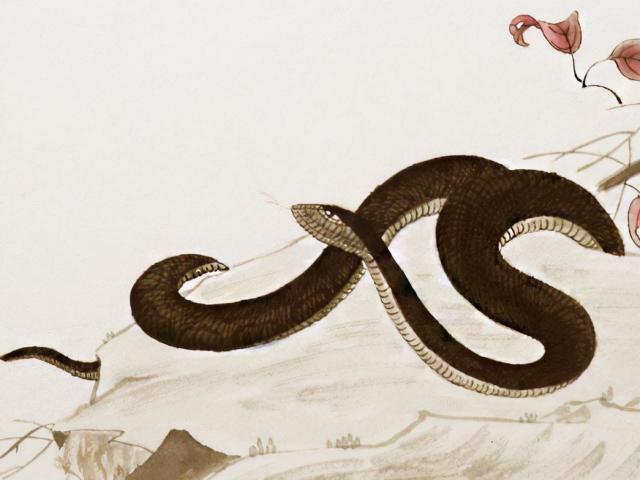 Nhà có những bộ 3 con giáp này giàu sang phú quý, phúc lộc vô cùng