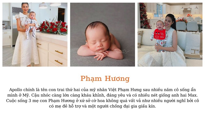 10 Trâu vàng sinh năm 2021: con đại gia Hà Tăng, Phạm Hương…đến cặp song sinh thụ tinh nhân tạo - 3