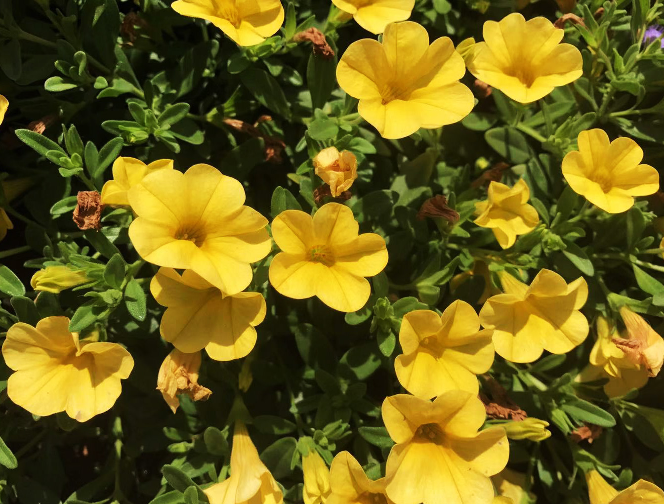 3 tháng sinh của người hào phóng, nhiều bạn bè, kiếm tiền cực giỏi - 3