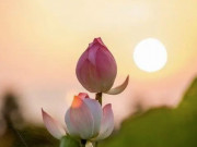 Eva tám - 3 điều xuất hiện trong nhà báo trước sự thịnh vượng của con cháu