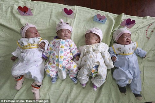 4 em bé nhà chị Wu Weiqing giống hệt nhau khiến cả gia đình và nhiều người biết đến phải mắt tròn mắt dẹt.