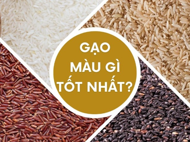 Gạo màu gì tốt cho sức khỏe? Nhiều người bình chọn gạo lứt nhưng tất cả đều đã nhầm