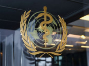 Sức khỏe - WHO cảnh báo về hàng loạt trẻ tử vong liên quan tới một loại siro ho Ấn Độ