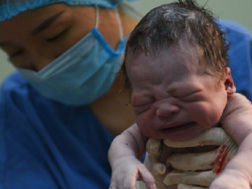 Đang mang bầu đứa con của khách nhờ đẻ thuê, người phụ nữ bất ngờ rụng trứng có thai con mình