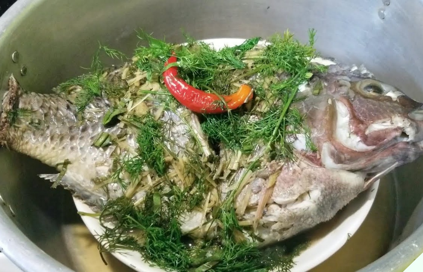 Ăn cá thế này bảo sao gan thận “nát bấy”, nhiều người Việt vô tư ăn 2 bộ phận này mà không biết cực độc - 6