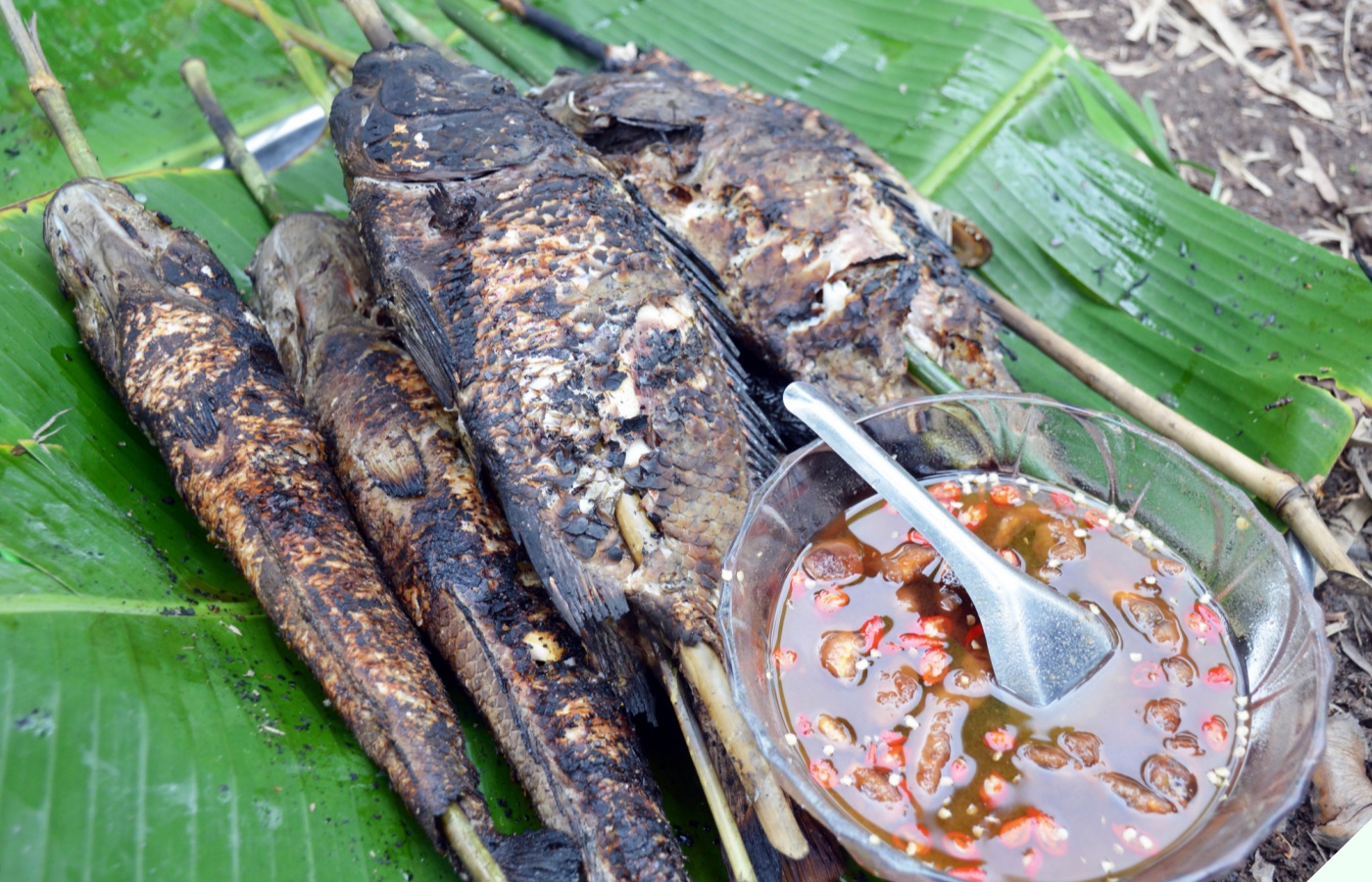 Ăn cá thế này bảo sao gan thận “nát bấy”, nhiều người Việt vô tư ăn 2 bộ phận này mà không biết cực độc - 2