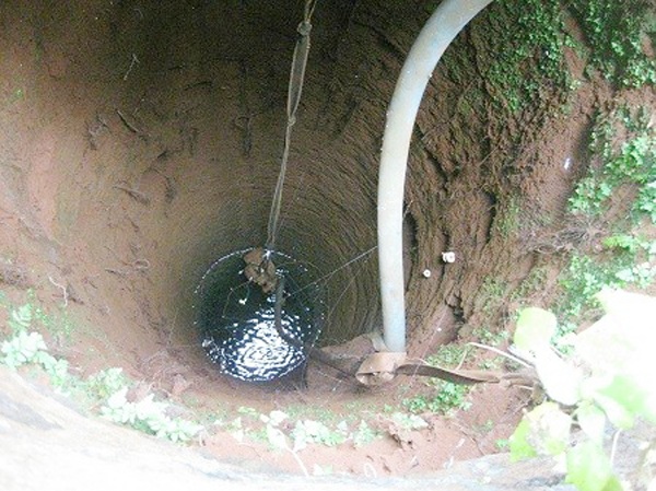 Ngôi làng độc nhất tại Đồng Nai: Chỉ cần ra đường là thấy các cặp sinh đôi, sinh ba cùng bí ẩn chưa có lời giải đáp - 3