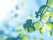 Eva tám - Cách khôn ngoan nhất để hòa hợp với người thân là nắm được 2 điểm này