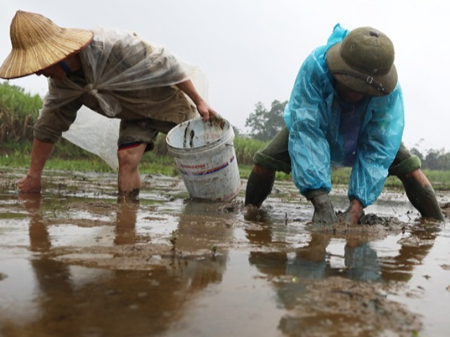 Người đàn ông ở giữa thủ đô mắc căn bệnh tưởng chỉ nông dân mới gặp, không rõ nguồn lây