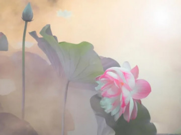 3 điều của gia đình không nên tiết lộ