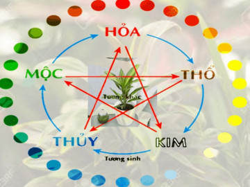 Nhiều người tan vỡ gia đình vì không biết phong thủy lớn nhất của cả đời người là gì để lệch thì kê mà méo thì nắn