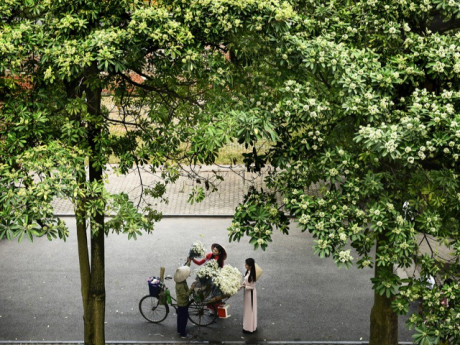 Một thứ được coi là "đặc sản" của Thủ đô Hà Nội nhưng người thích - kẻ chê, người yêu - kẻ ghét