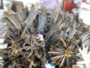 Tiêu dùng - 4 loại đặc sản khô miền Tây trông kinh hãi nhưng ngon nổi tiếng và giá đắt đỏ, có món 600.000 đồng/kg