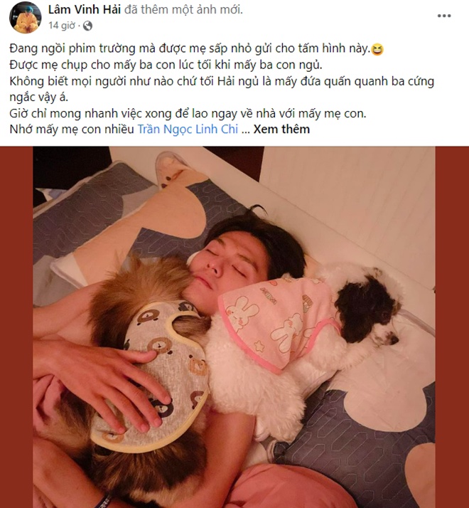 Vợ cũ khoe con, Lâm Vinh Hải cũng có bài đăng về các con, nhưng mà là 2 chú chó cưng của anh.