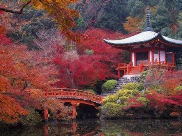 Những điều cần biết trước khi đi du lịch Tokyo, Nhật Bản