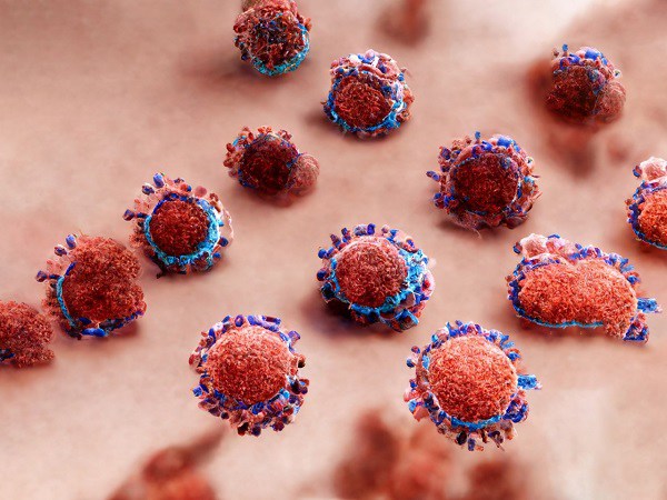 Việc biến thể phụ mới xâm nhập vào Việt Nam là hoàn toàn có thể xảy ra nhưng người dân không nên quá lo lắng. 