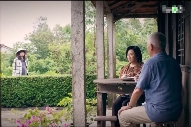 amp;#34;Mẹ chồng quốc dânamp;#34; trong phim Việt: Người không trách con dâu ngoại tình, kẻ đánh ghen hộ cực sang chảnh - 4