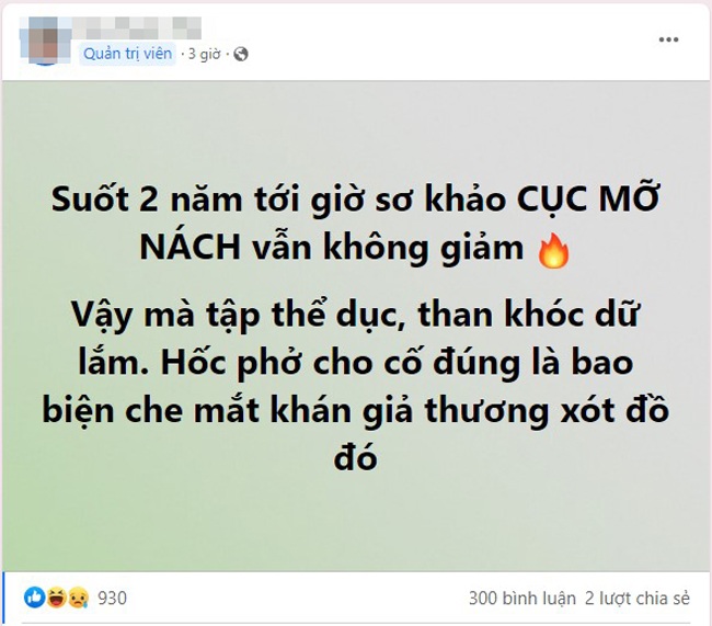 Á hậu 2 cuộc thi quốc tế thậm chí còn miệt thị ngoại hình với những lời lẽ nặng nề.