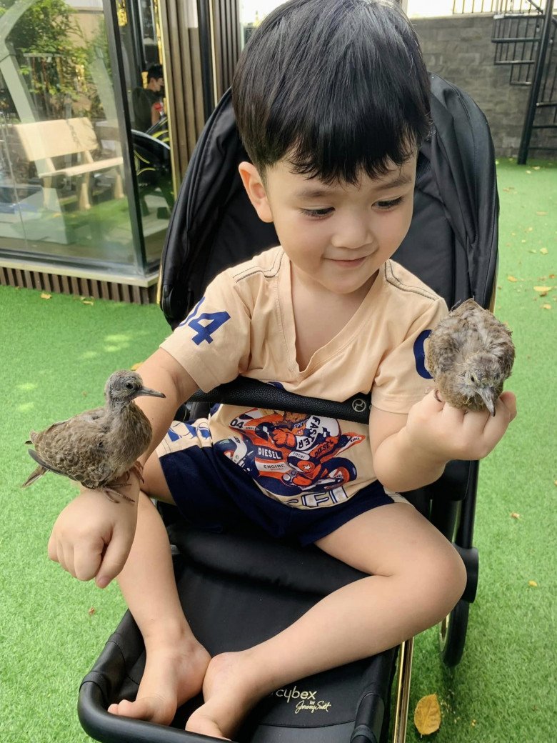 Con trai ruột bị xúc phạm, Đàm Vĩnh Hưng lên tiếng cảnh cáo, cho ekip canh giữ nhà - 6