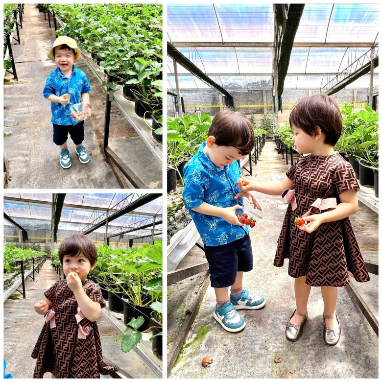 Cuộc sống ngậm thìa vàng của 2 bé sinh đôi nhà anh trai chồng Đỗ Mỹ Linh trong biệt thự xa hoa - 11