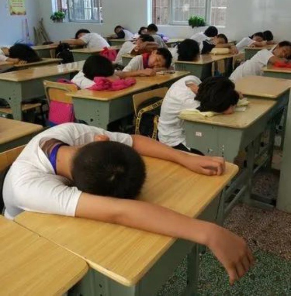 Việc ngủ gục trên bàn gây ra rất nhiều ảnh hưởng tới cột sống, sức khỏe.