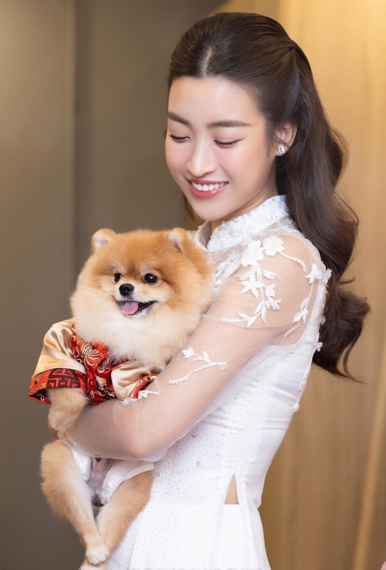 Độc quyền Đỗ Mỹ Linh sẽ diện tà áo dài cưới giản dị nhất được