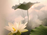 Eva tám - Muốn trở thành người may mắn, hãy bắt đầu bằng cách làm tốt 3 điều này