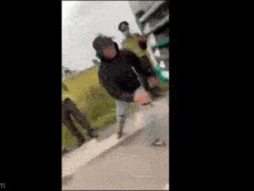 Clip: Kiểm lâm dừng xe tải, một người lạ lao vào hành hung lái xe