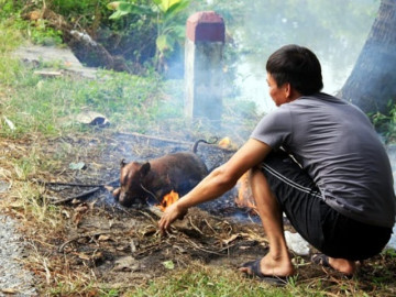 2 tháng thịt 2 con chó, người đàn ông Hà Nội bỗng dưng sợ nước, sợ ánh sáng rồi tử vong