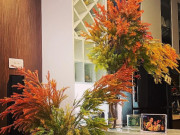 Sốt rần rần cành lá nhập khẩu đủ màu sắc được ví như mùa thu Hàn Quốc, chị em tò mò chi tiền mua về cắm chơi