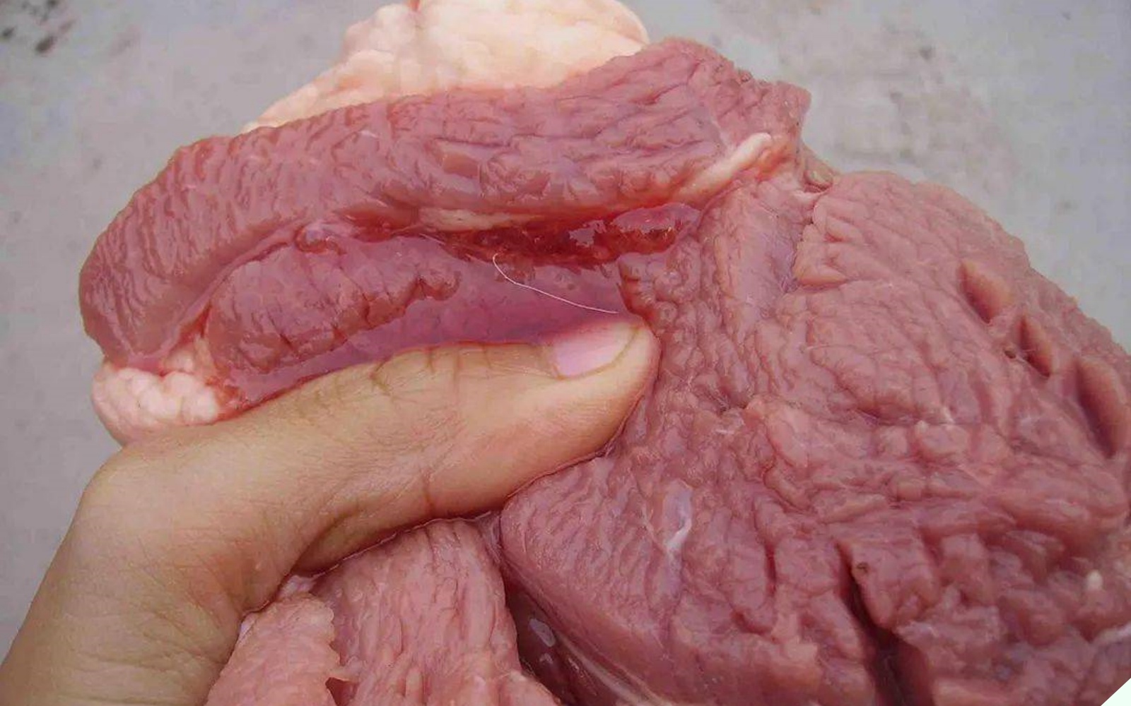 Khi mua thịt lợn chỉ cần nhìn 3 điểm này là biết thịt “sạch” hay “bẩn”, nhớ kỹ để không bị hớ.