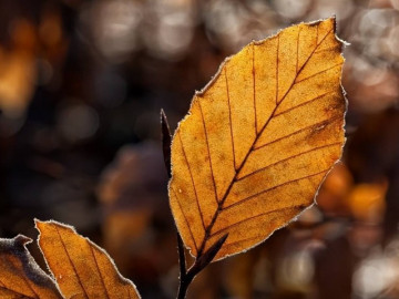 Ghét đến mấy cũng phải nhớ 3 điều này, đó mới là khôn ngoan nhất