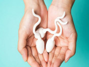 Bà bầu - Những em bé được sinh ra từ tinh trùng lưu trữ nhiều năm của người cha quá cố