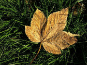 Eva tám - Giữa anh em ruột thịt, thân mấy cũng đừng tùy tiện tiết lộ 3 điều sau