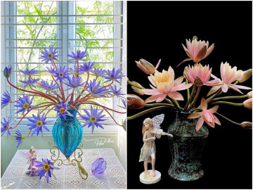 Những bình súng đẹp như múa lượn của mẹ đảm Hà thành: Chỉ 150 nghìn đồng được ngắm hoa nở 2 lần